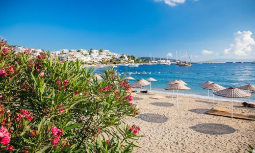 Sunny beach with straw umbrellas, pink flowers, and a view of coastal houses and boats on a clear blue sea.