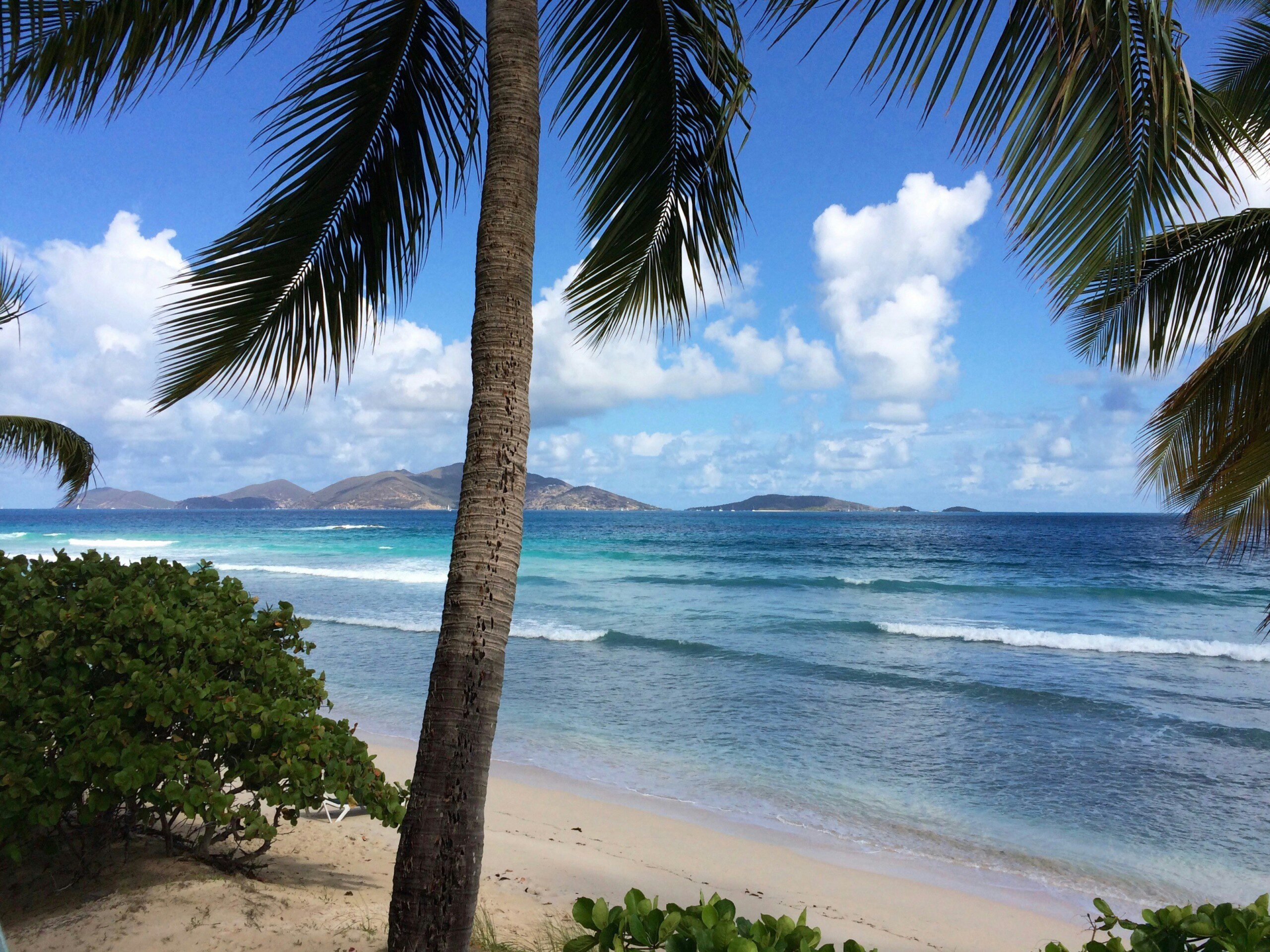 Tropical beach with palm trees, clear blue sea, and distant islands under a sunny sky.